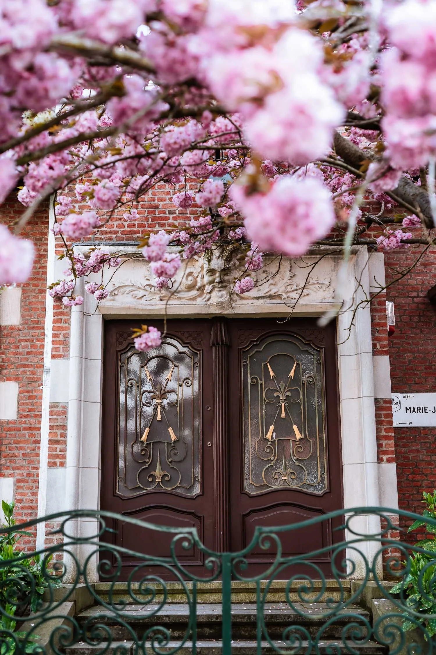 Best places for cherry blossoms in Brussels — briesoldo
